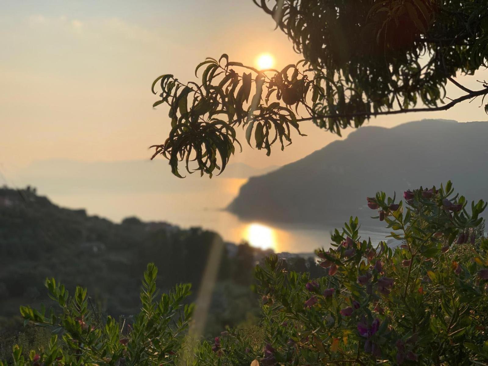Romantic Lemonia Cottage Skopelos Town Exterior photo